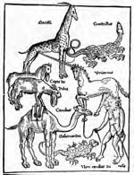 Animals in the Holy Land, Erhard Reuwich, from Breydenbaach (Mainz, 1486).  Printed in: A Book of Unicorns by W. Poltarnees. (c) 1978.